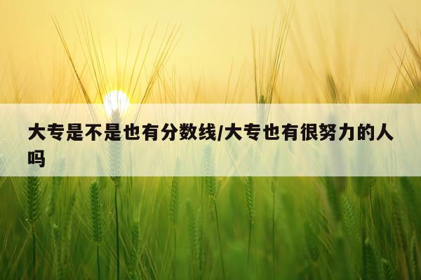 大专是不是也有分数线/大专也有很努力的人吗
