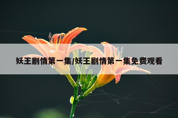 妖王剧情第一集/妖王剧情第一集免费观看